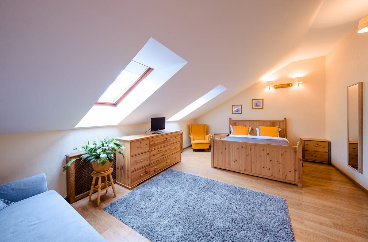 Mansard studio in pine with a sofa bed, a blue rug and a skylight