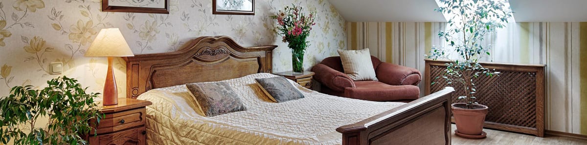 Wide view of the floral mansard bedroom, skylight and potted tree beside the bed